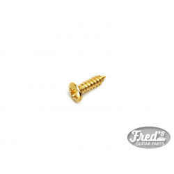 PICKGUARD SCREWS FENDER® STYLE GOLD (BULK PACK 100PCS)