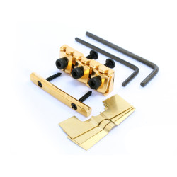 LOCKNUT GOTOH GOLD 41MM VISSE DERRIERE