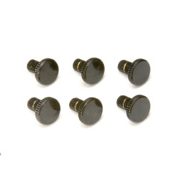 FLOYD ROSE VIS FINE TUNING BLACK (6 PCS)