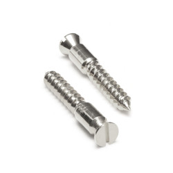 FLOYD ROSE PIVOT SCREW (PAIR) CHROME