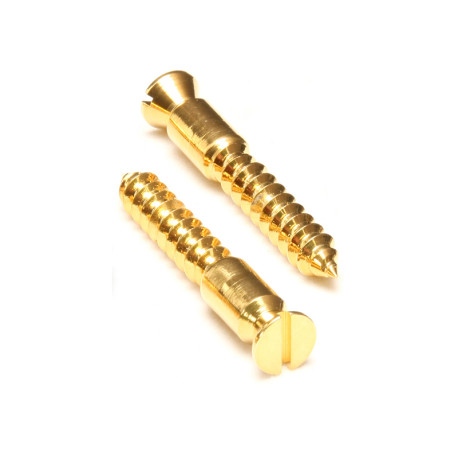 FLOYD ROSE PIVOT SCREW (PAIR) GOLD