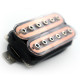 SP CUSTOM® MICRO HUMBUCKER CHAOSLAND CHEVALET BOBINES TRANSPARENTES