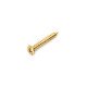 LONG SCREW FOR PICKUP RING GOLD (20pcs)