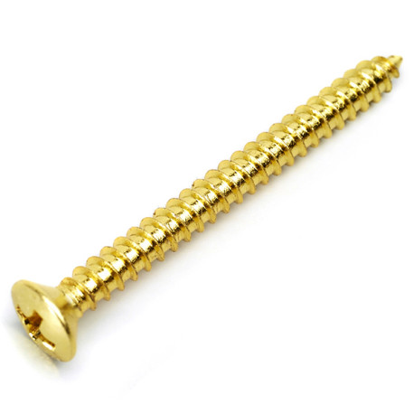 NECK PLATE SCREWS 4.2 x 45mm GOLD (Bulk 20pcs)