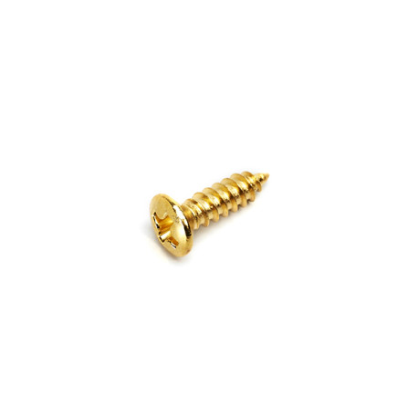 PICKGUARD SCREWS FENDER® STYLE GOLD (20pcs)