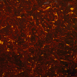 ALL PARTS® PICKGUARD BLANK 30 x 45cm x 2.28mm 3 PLY RED TORTOISE