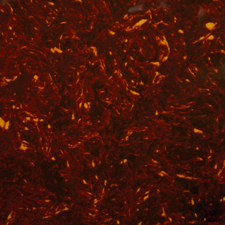 ALL PARTS® PICKGUARD BLANK 30 x 45cm x 2.28mm 3 PLY RED TORTOISE