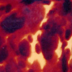 HOSCO® ACOUSTIC PICKGUARD BLANK ADHESIVE 290 x 180 x 0.65mm LIGHT TORTOISE