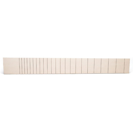 MAPLE FENDER* SLOT 24