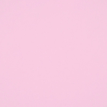 ! DISCONTINUED ! FENDER® ORIGINAL TINT 200gr "SHELL PINK"