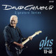 GHS® DAVID GILMOUR SIGNATURE™ ELECTRIC STRINGS 10-48