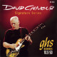 GHS® DAVID GILMOUR SIGNATURE™ ELECTRIC STRINGS 010.1/2-050