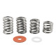 BIGSBY® SPRING AND WASHER PACK