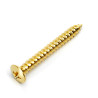 GOTOH® SHORT NECK PLATE SCREWS TS-03-35 4 x 35mm GOLD (Bulk 20pcs)