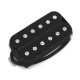 DREAMSONGS PICKUPS® MICRO HUMBUCKER DIRTY LICKS CHEVALET BOBINES NOIRES