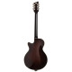 DUESENBERG® GUITARE STARPLAYER TV GOLD BURST