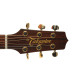 D'ADDARIO® MÉCANIQUES AUTO-TRIM® 3+3 1:18 DORÉ