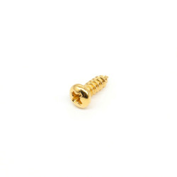 WD MUSIC® TRUSS ROD COVER SCREWS GOLD (12pcs)