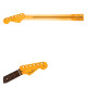 FENDER® AMERICAN PROFESSIONAL CLASSIC MANCHE STRAT, 22 FRETTES, PALISSANDRE