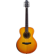 COVENANT GUITARS® GUITARE ACOUSTIQUE 500R TOBACCO BURST