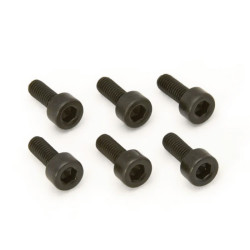 FLOYD ROSE® ORIGINAL SADDLE MOUNTING SCREWS BLACK (6pcs)