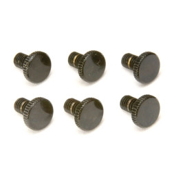 FLOYD ROSE® ORIGINAL VIS FINE TUNING NOIR (6pcs)