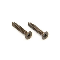 FLOYD ROSE® ORIGINAL VIS BLOQUE CORDES MONTAGE PAR DESSUS NOIR (2pcs)