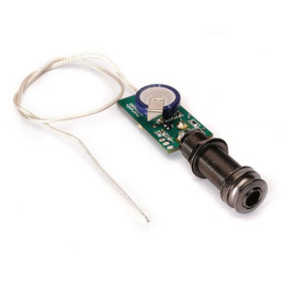 Guitares électro-acoustiques